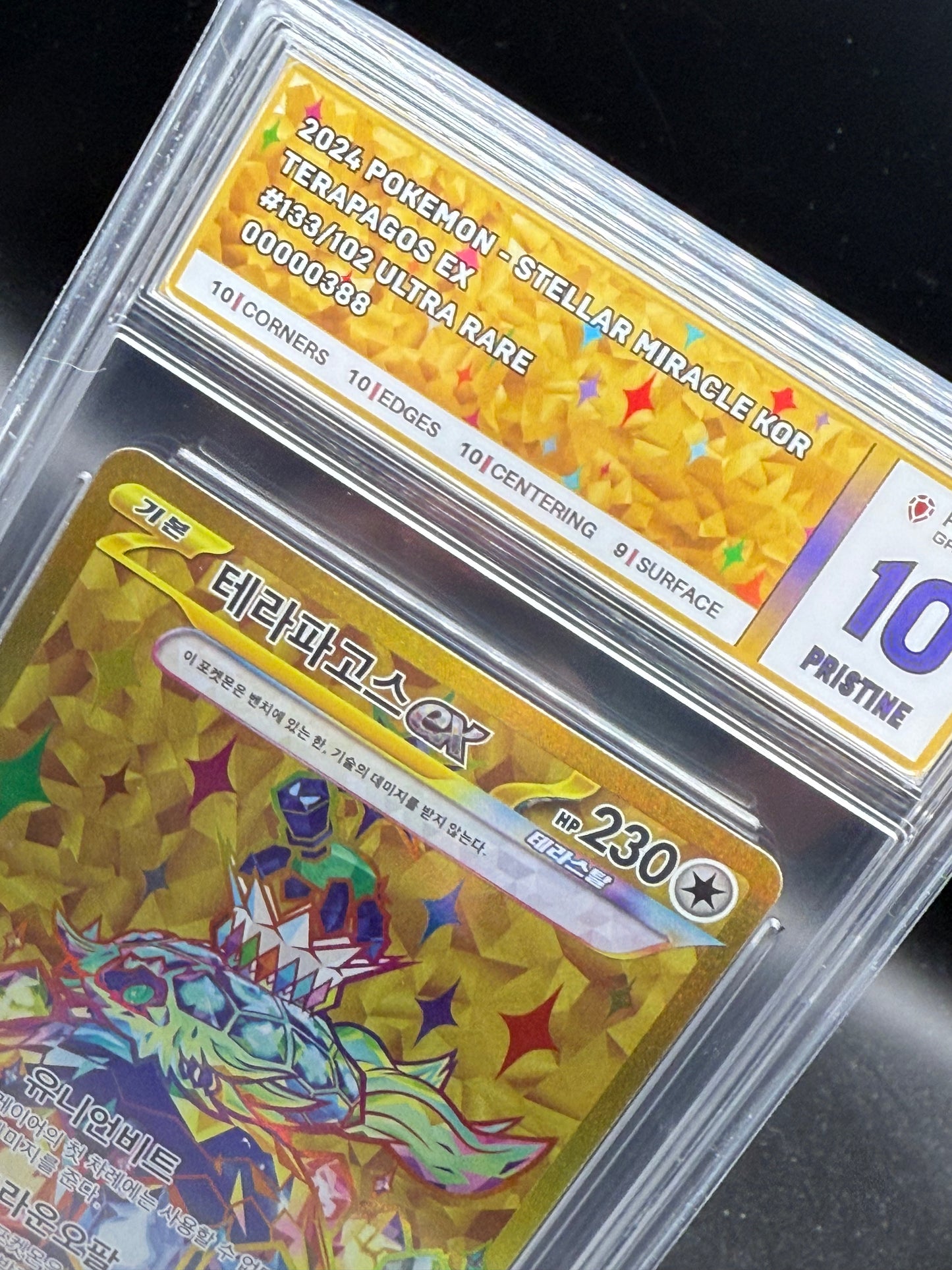 Terapagos ex 133 Ruby 10